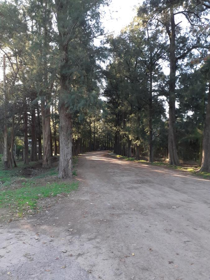 Apartamento Parque Leloir, Ituzaingo Villa Leloir Exterior foto